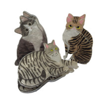 Cat Lover Claw
