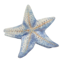 Mel Starfish