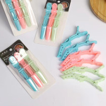 Pastel Section Clip 3 Pack